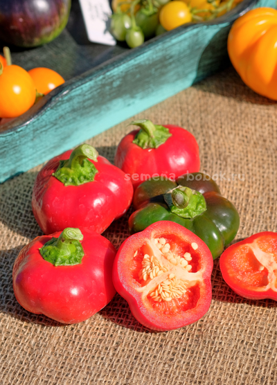Перец сладкий Гогошар Советский, 10 шт