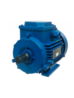 Электродвигатель АИР 100L4 (4 кВт)