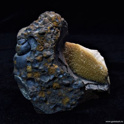 Барит на псиломелане в полости ракушки. 59*59*42мм