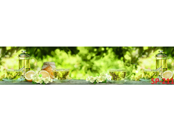 SP-211 Глянцевая стеновая панель ALBICO  2800*610*6мм.