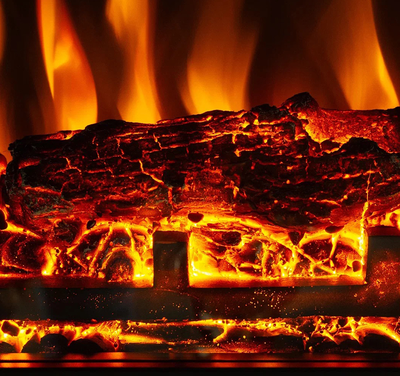 Линейный электрокамин Bergen WT с Flash