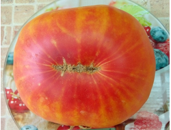 Биколоры  и полосатые сорта томатов