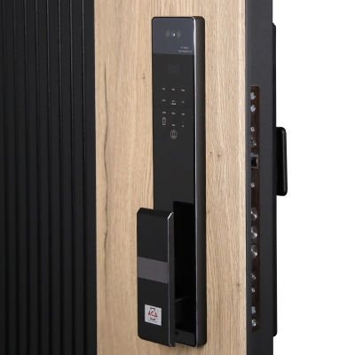 Стальная дверь   Конструктор (биометрический замок Smart lock Y23)