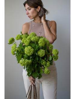 Моно букет цветов № 530