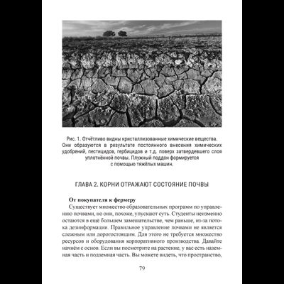 Риэмс и Джадам. Эффективные технологии плодородия. В 2-х томах. Том 2. Сост. и перевод с англ. Елена Кулагина.