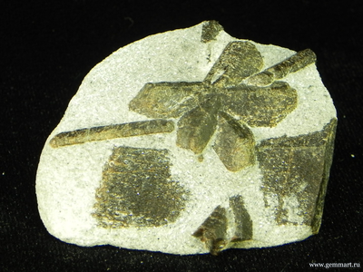 Ставролит, тройник с фрагментами кристаллов на сланце. Россия. 55*42*15мм