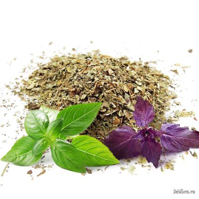 Базилик сушеный. Milora.ru