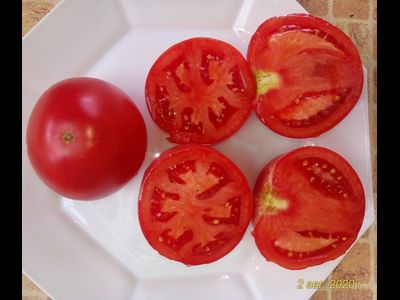 Томат Демидов