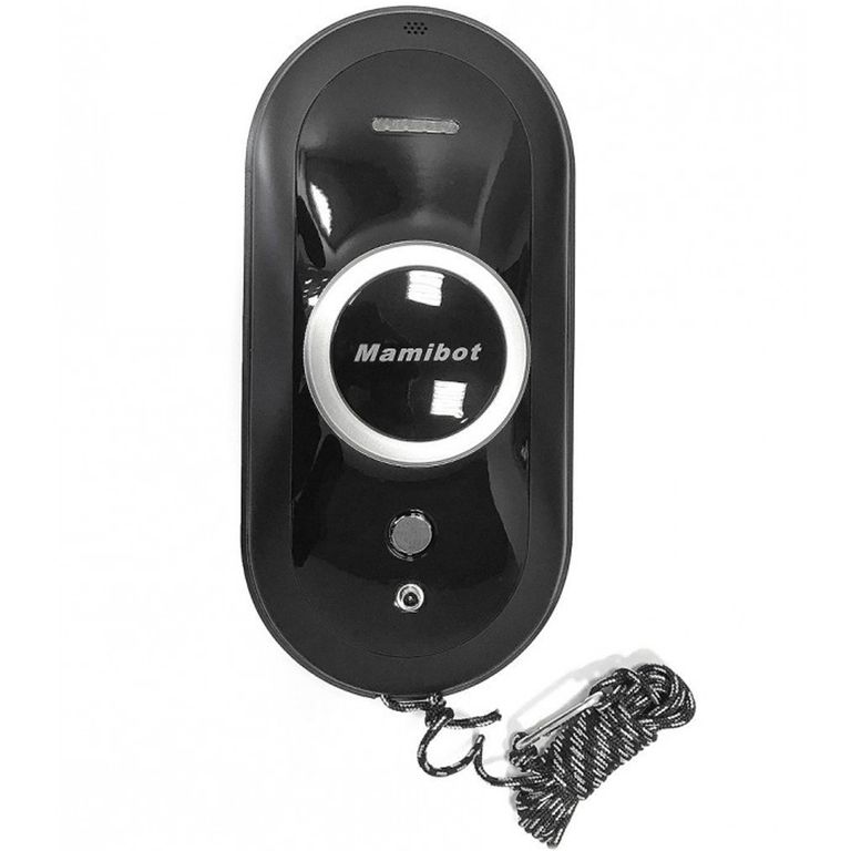 Mamibot iGLASSBOT W110-T