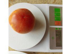 Томат Персик