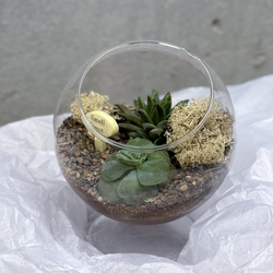 Флорариум Родос