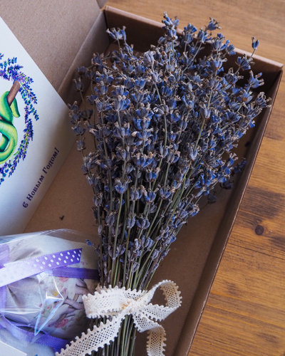 Подарочный набор «Вам букет лаванды » Букет лаванды + саше «Господа Удавы» (10шт)