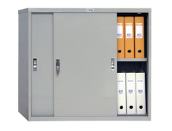 Шкаф-купе офисный ПРАКТИК AMT 0891