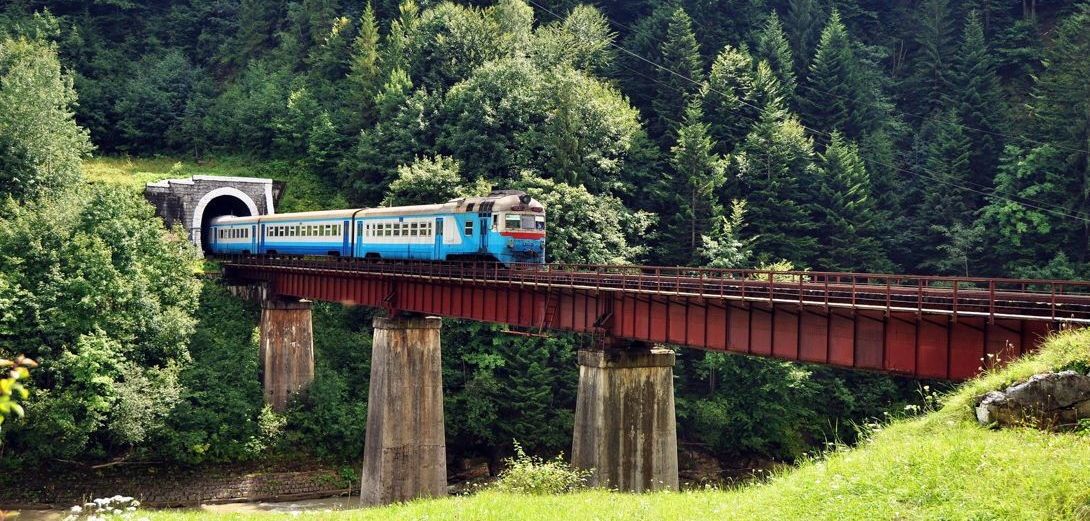 Червона рута киев