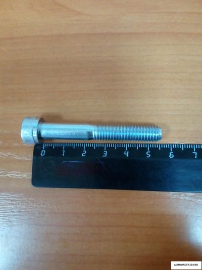 Болт М8*1,25*55 под внутренний шестигранник (цена за 20 шт.)