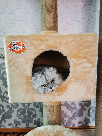 №161 Игровой комплекс "Мурзик"