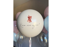 Гендер-шар "Кого мы ждём?"