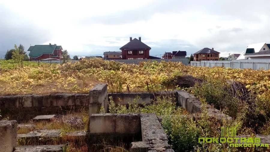 Через 14 дней 
