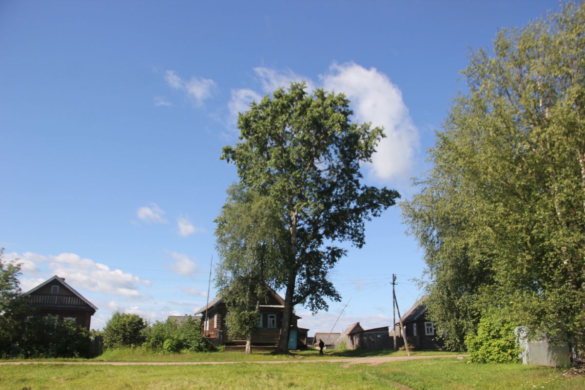 Валка дерева с оттяжкой Луга