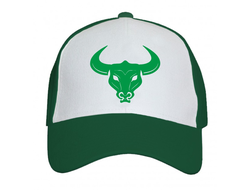 Кепка с символикой "Быка" №11