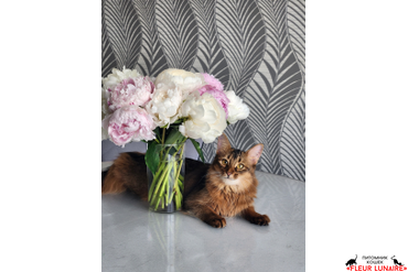 Выпускница Фокс.3