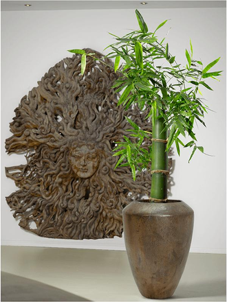 Керамический горшок NIEUWKOOP Sepia plain coppa (50 см)