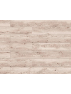 Дуб Дарлингтон 47731