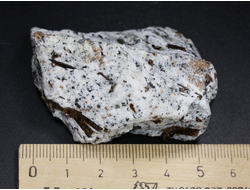 Астрофиллит на породе, Кольский п-ов, Хибины (57*45*24 мм, 70 г) №26161