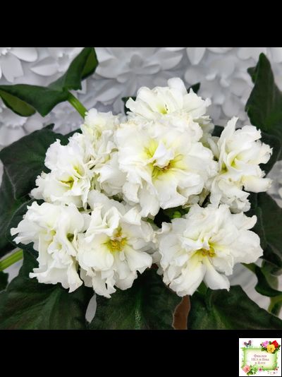 МК-Белая Кувшинка (М. Карпова) 2022 г.