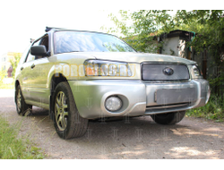 Защита радиатора Subaru Forester II 2002-2005 chrome низ