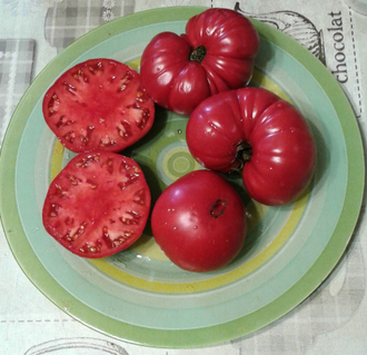 Семена томата Тетушка Лу подземная железная дорога