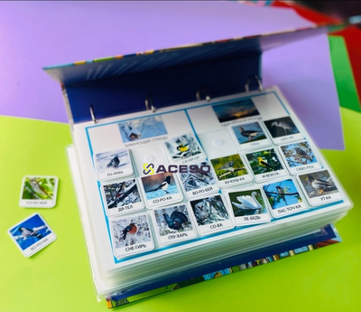 Комплект для ДОУ "Окружающий мир" Frechoponcho (Френчопончо)