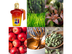 Xerjoff Levar de Sole