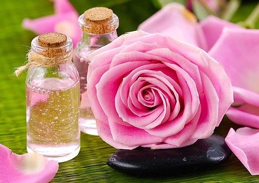 Экстракт дамасской розы