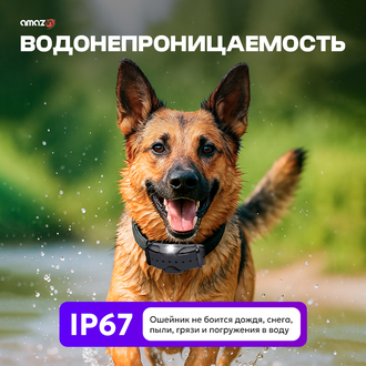 Электронный ошейник для собак DT4200