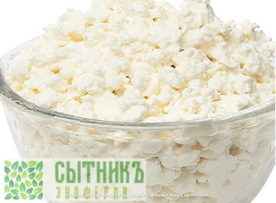 Домашний творог не жирный купить от фермера