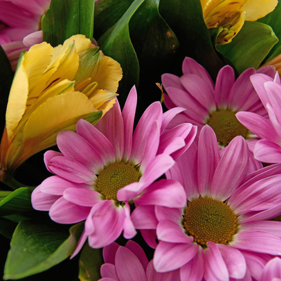 Букет из хризантем и альстромерии