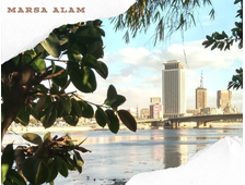 CAIRO BY BUS FROM MARSA ALAM, PROGRAM VIP