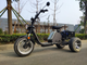 ЭЛЕКТРОСКУТЕР SKYBOARD TRIKE BR80