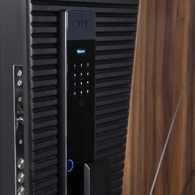 Стальная дверь   Берилл с зеркалом (биометрический замок Y23). Заказная модель.