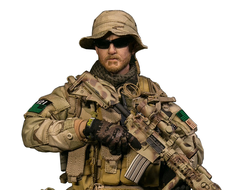 Снайпер, операция "Красные крылья" - Коллекционная ФИГУРКА 1/6 Operation Red Wings NAVY SEALS SDV TEAM 1 Sniper (78085) - DAMTOYS