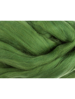 Шерсть для валяния, лента гребенная, Камтекс, полутонкая, киви (114), 50г