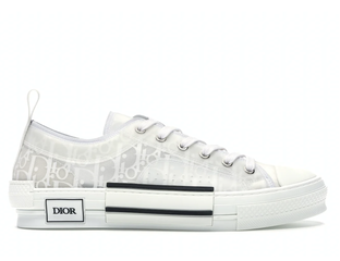 Converse x Dior B23