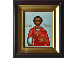 Пантелеимон (Пантелеймон) Целитель, святой великомученик. Рукописная икона в киоте.