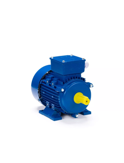 Электродвигатель АИС 63В2 (0,25 кВт) IM B3