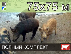 Электропастух СТАТИК-3М для свиней 75x75 метров - Удержит даже самого проворного поросенка!