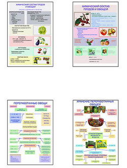 Плакаты ПРОФТЕХ "Классификация овощей и переработка" (8 пл, винил, 70х100)