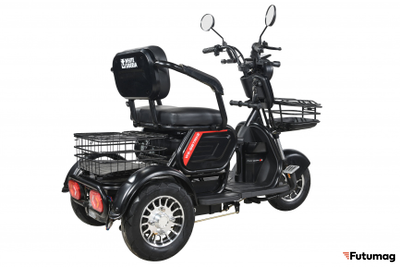 Пассажирский трицикл WHITE SIBERIA SIBTRIKE 2000W