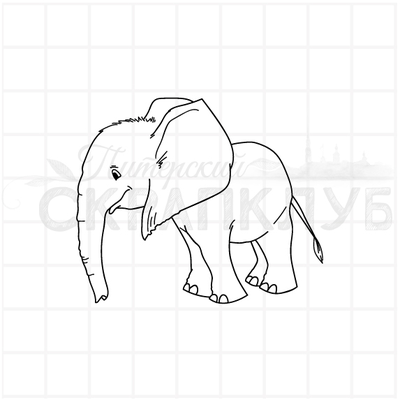 ФП штамп "Слон правый"