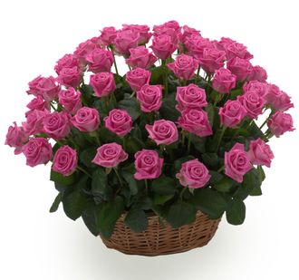 Подарочная цветочная корзина из 71 розы и зелени